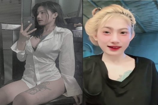 Bảo Trân 3 - Chất lượng tối ưu